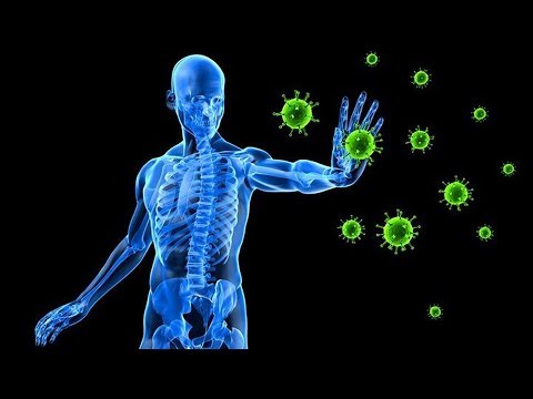 Immunrendszer működése